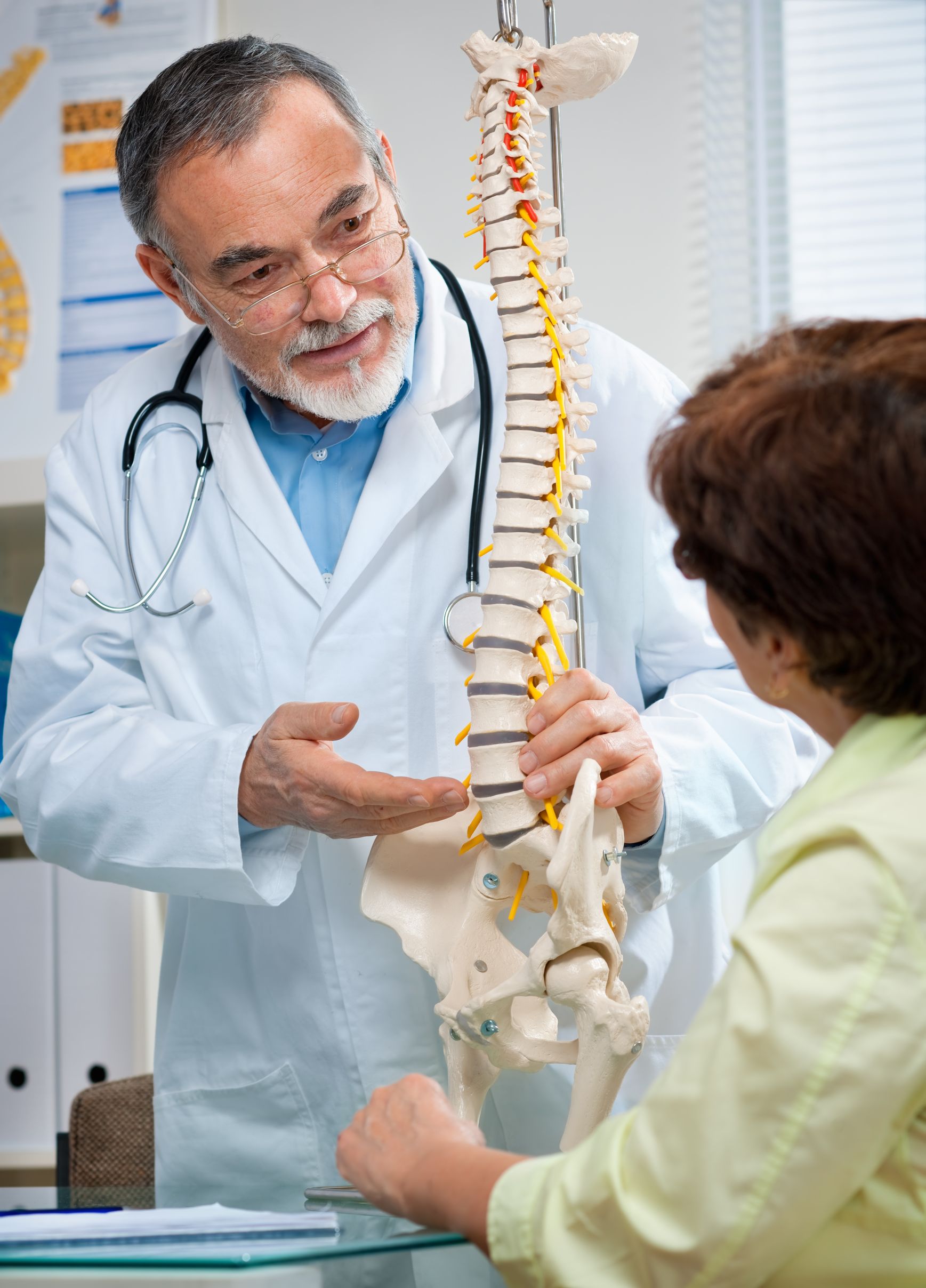 What exactly does a chiropractor do?