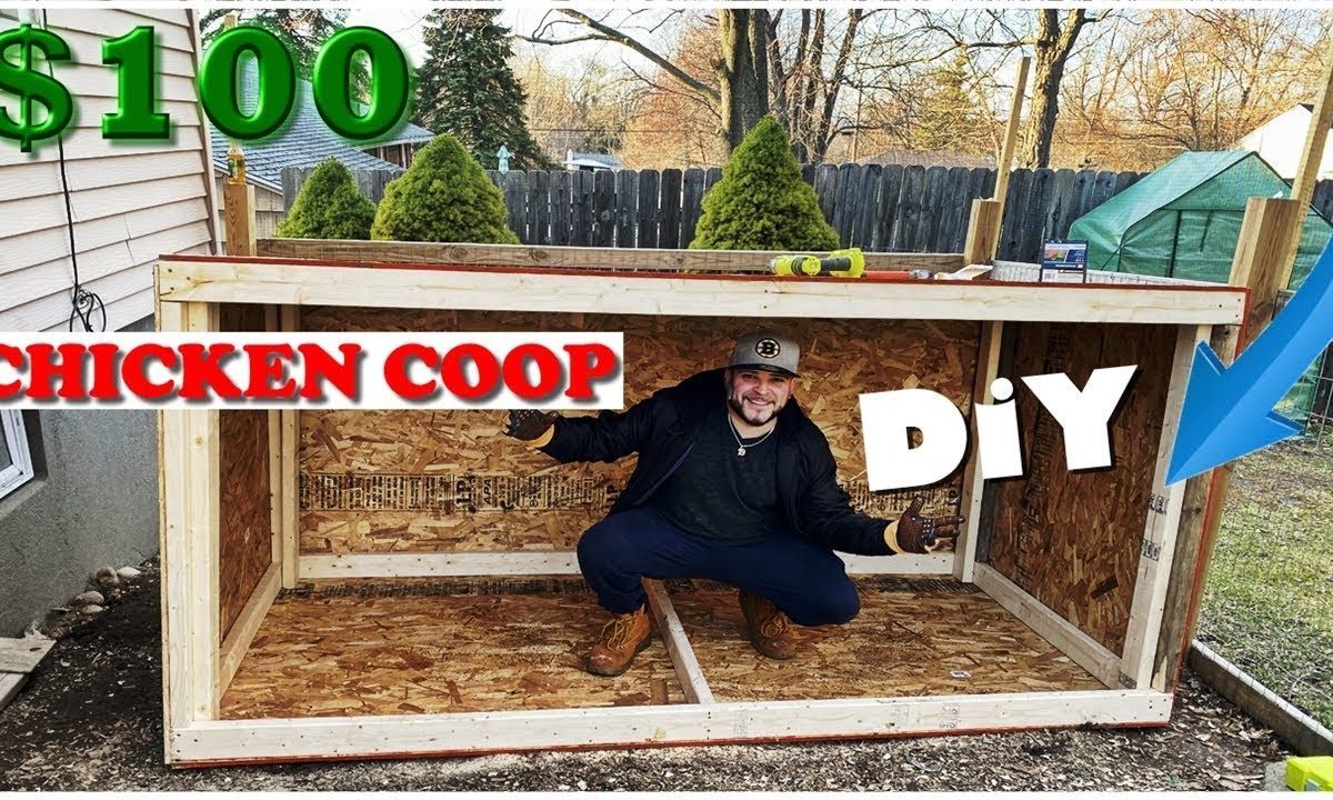 Is it cheaper to buy or build a chicken coop?