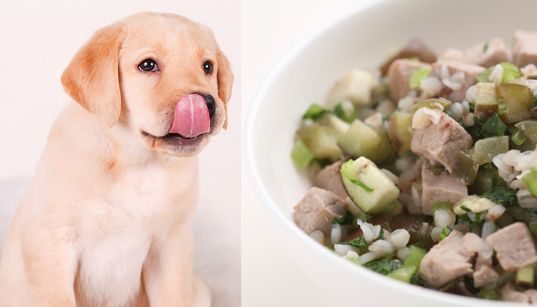 Do vets approve of homemade dog food?